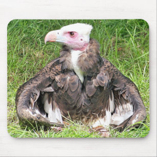 MOUSEPAD VULTURA