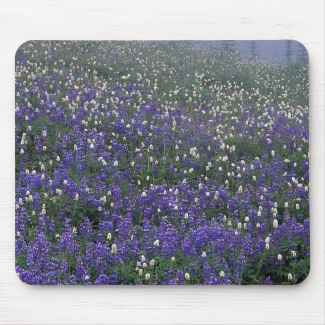Mousepad WA, Parque Nacional Mt. Rainier, prado de Lupino e (Frente)
