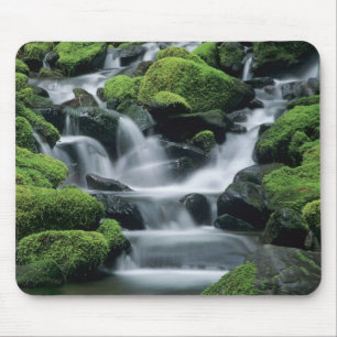 Mousepad WA, Parque Nacional Olympic, Vale de Sol Duc, riac