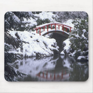 Mousepad WA, Seattle, Ponte da lua e lago após o inverno 2