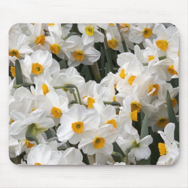 Mousepad WA, Vale do Skagit, padrão de Narciso (Frente)