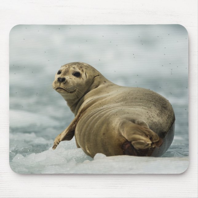 Mousepad Wary Seal (Frente)