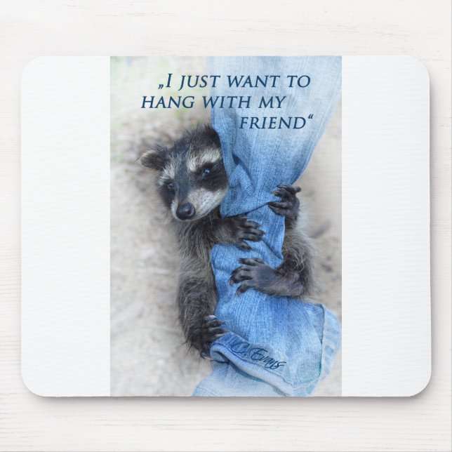 Mousepad Waschbär - Abhängen (Frente)