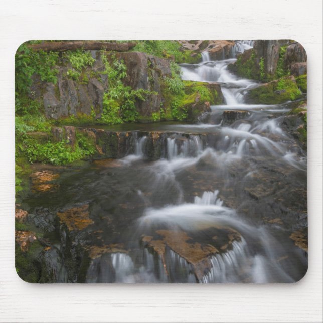 Mousepad Washington, Parque Nacional Mount Rainier 2 (Frente)