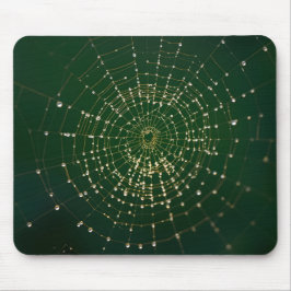 Mousepad Web Dew-Kissed Spider no amanhecer