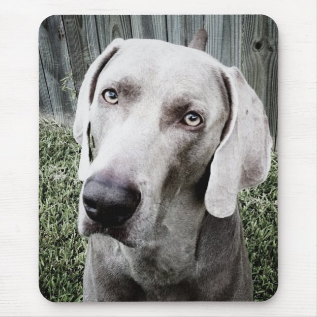 Mousepad Weimaraner (Frente)
