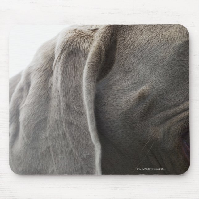Mousepad Weimaraner 3 (Frente)