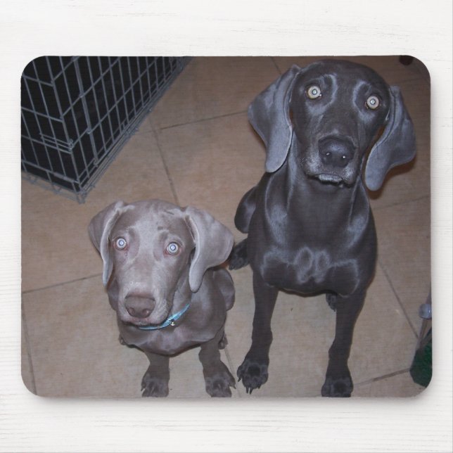 Mousepad weimeraners (Frente)