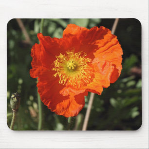 Mousepad Welsh Poppy (Laranja)