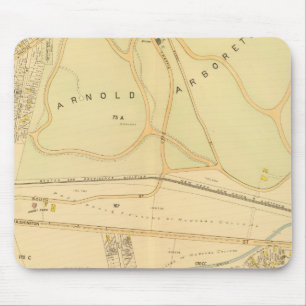 Mousepad West Roxbury, Massachusetts 4