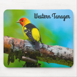 Mousepad Western Tanager