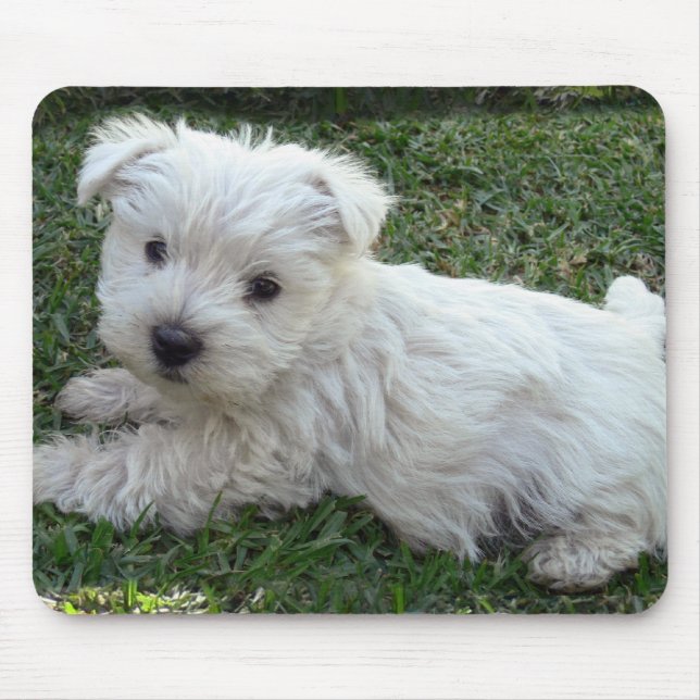 Mousepad Westie (Frente)