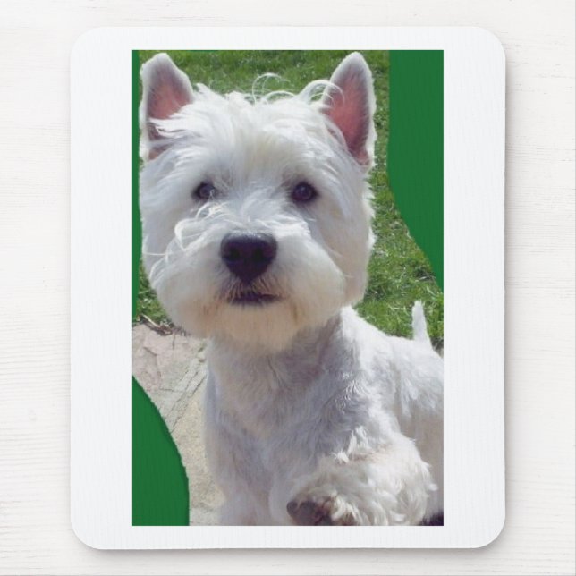 Mousepad Westie "olá!" pata acima do aniversário de (Frente)