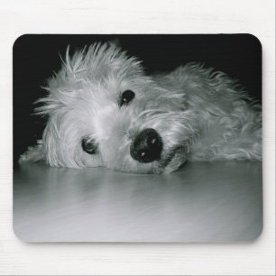 Mousepad Westie que relaxa