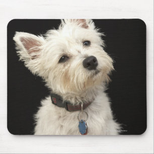 Mousepad Westie (terrier ocidental das montanhas) com colar
