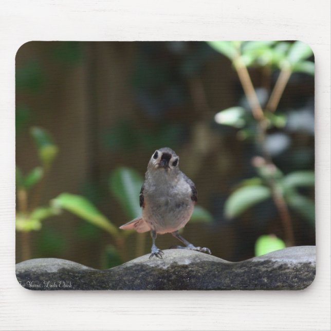 Mousepad Whatcha Doin (Frente)