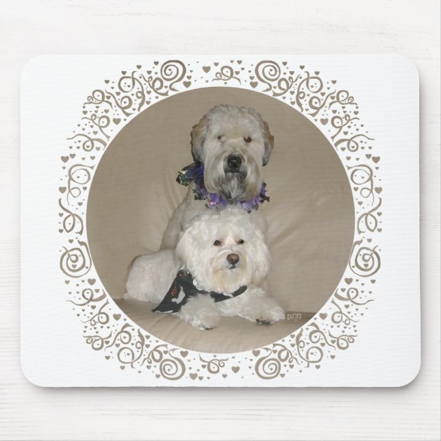 Mousepad Wheaten Terrier e Havanese (Frente)