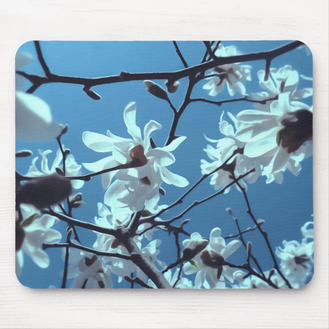 Mousepad White Magnolia Bloom Blue Sky (Frente)