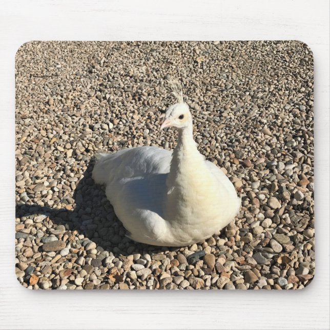 Mousepad White Peacock, Idaho (Frente)