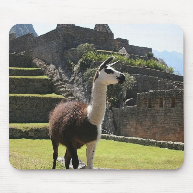 Mousepad Wild Llama perto de Ruins (Frente)