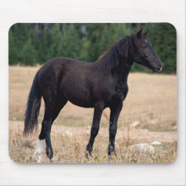 Mousepad Wild Mustang
