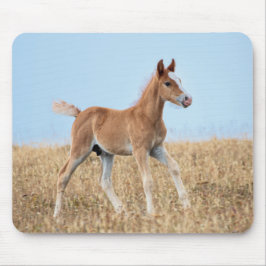 Mousepad Wild Mustang Foal
