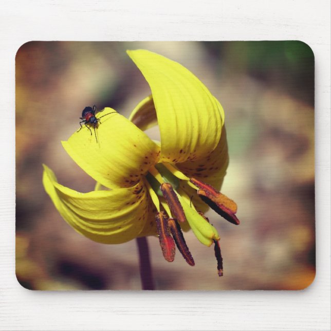 Mousepad Wild Trout Lily E Friend Flower (Frente)