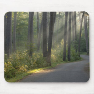 Mousepad Wilderness Drive, Parque Estadual de Itasca,