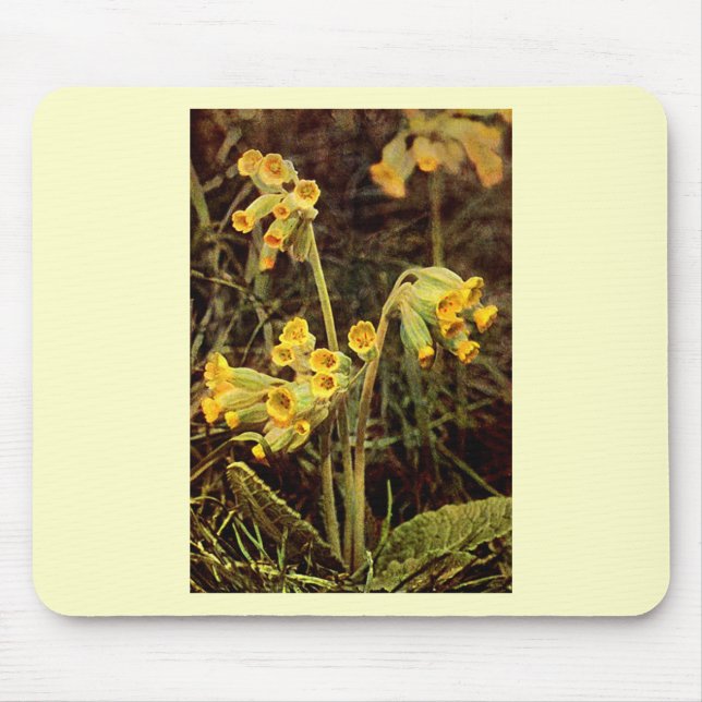 Mousepad Wildflower: Cowslip (Frente)