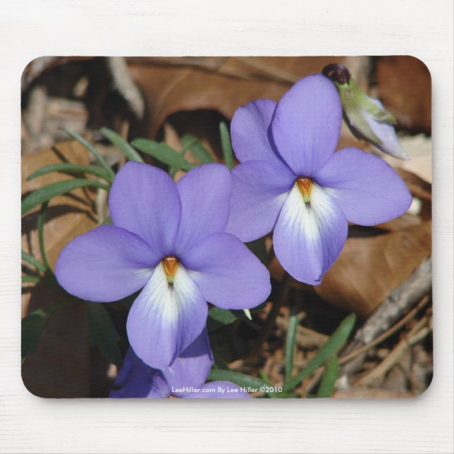 Mousepad WildFlowers Birds-Foot Violet III Gifes e Roupa (Frente)