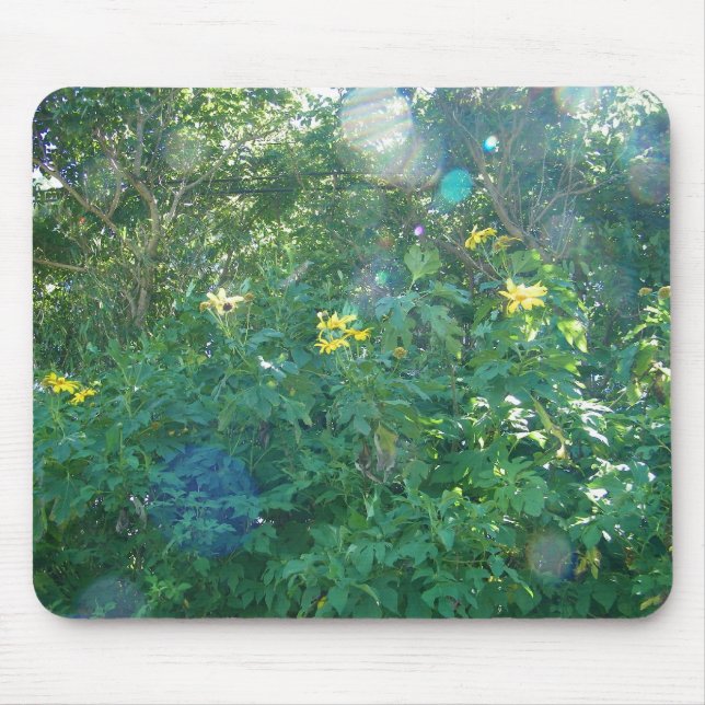 Mousepad Wildflowers havaianos amarelos de Kauai Havaí (Frente)
