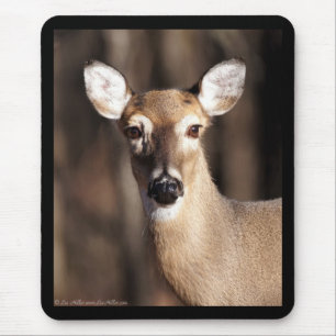 Mousepad Wildlife Whitetail Deer Doe Portrait