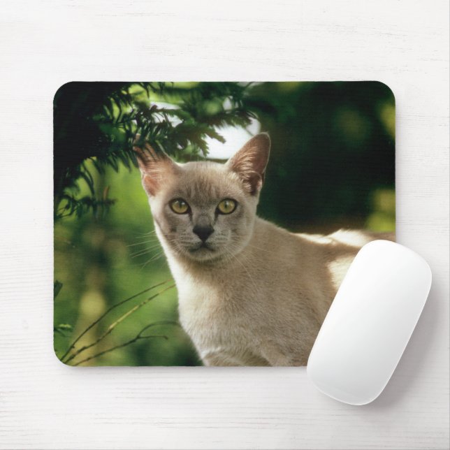Mousepad Wilham. (Com mouse)