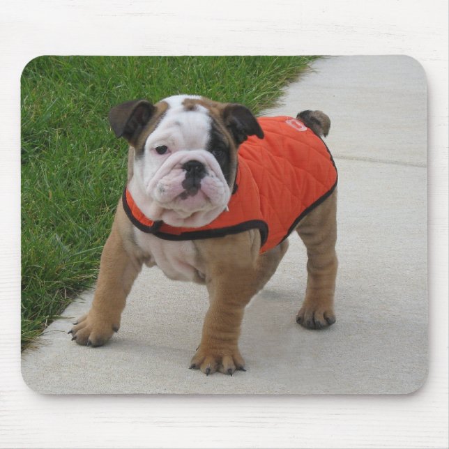 Mousepad William o filhote de cachorro inglês do buldogue (Frente)