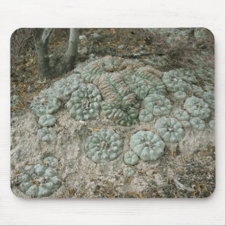 Mousepad Williamsii do Lophophora - Peyote