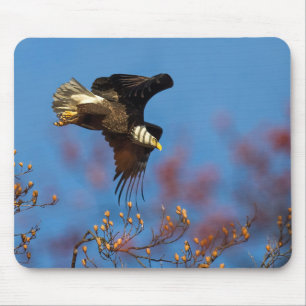 Mousepad Wingshadow
