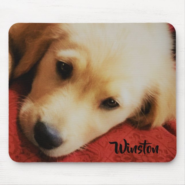 Mousepad Winston o filhote de cachorro do golden retriever, (Frente)