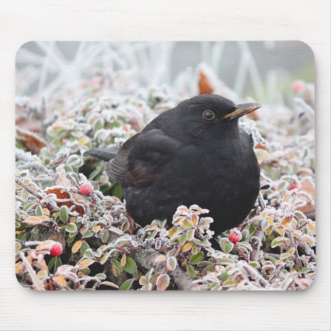 Mousepad Winter Blackbird (Frente)