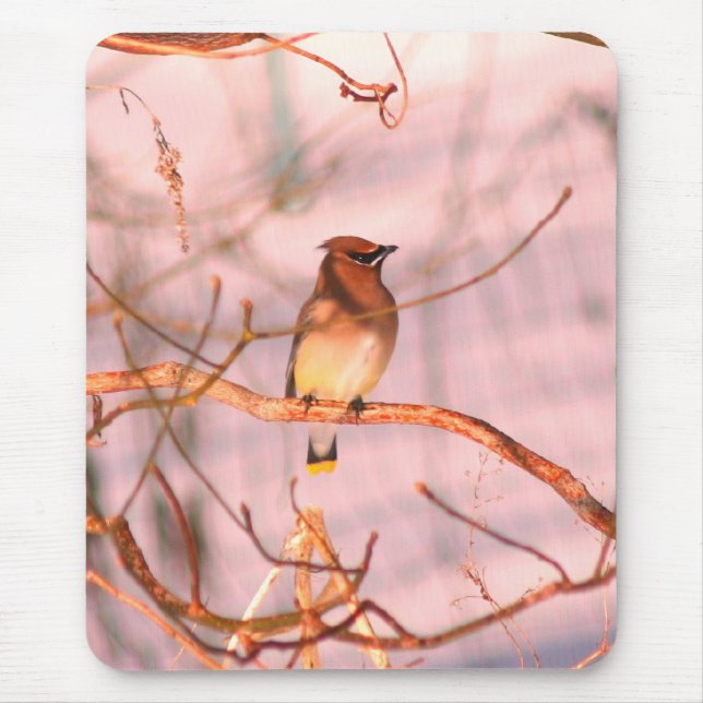 Mousepad Winter Cedar Waxwing Wildlife Nature (Frente)