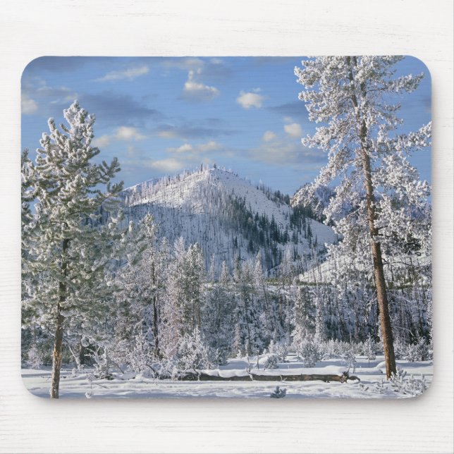 Mousepad Winter in Yellowstone National Park, Wyoming (Frente)