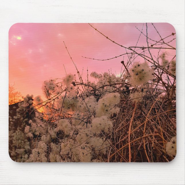 Mousepad Winter Sunset E Clematis Vines (Frente)