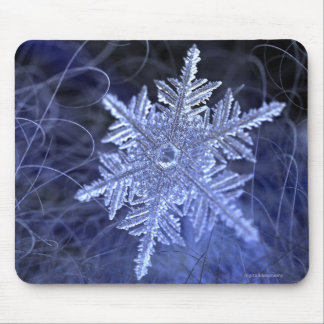 Mousepad Winterborn (2015)