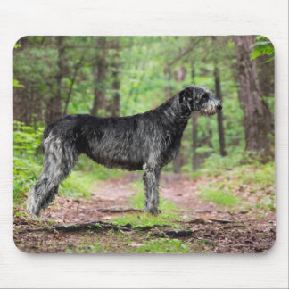 Mousepad Wolfhound negro se posicionando em uma floresta
