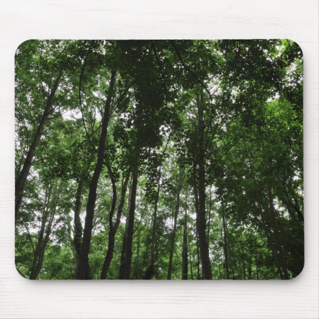 Mousepad Woodland Canopy 02 (Frente)