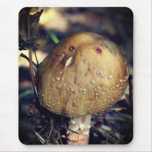 Mousepad Woodland Wild Mushroom Nature