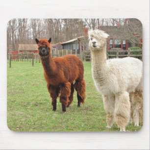 Mousepad Woolly do ~ das alpacas