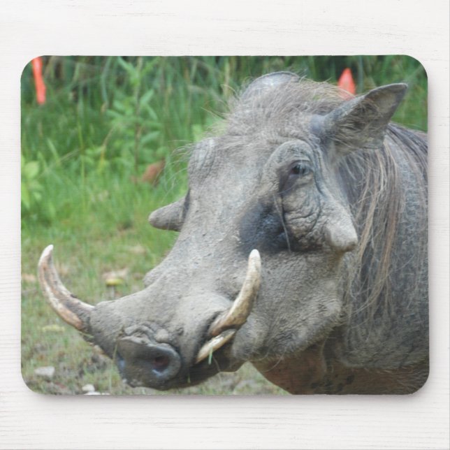 Mousepad wort-hog10x10 (Frente)