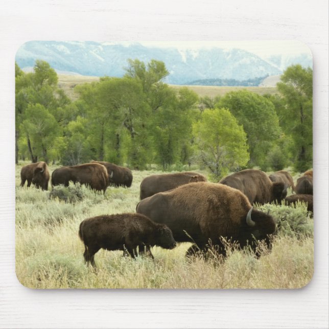Mousepad Wyoming Bison Nature (Frente)