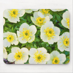 Mousepad Wyoming, Condado de Sublette, Close-up de um grupo