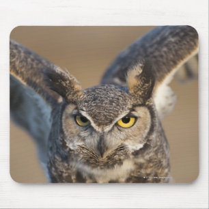 Mousepad Wyoming, EUA